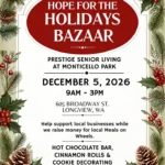 Seeking Vendors for Hope for the Holiday's Bazaar