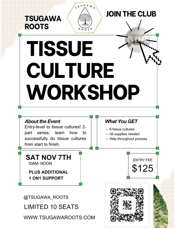 Tissue Culture Workshop
